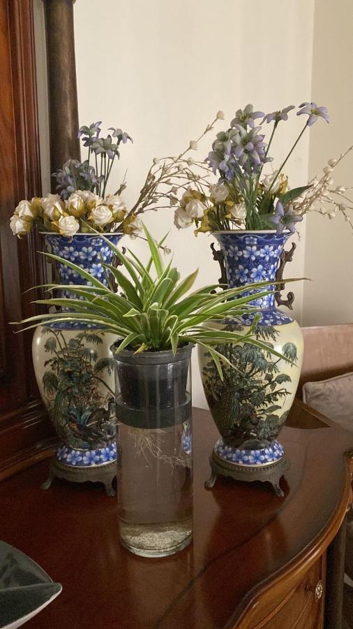 Luxurious 3 Bedroom Rustic Apartment Overlooking Huge Garden - For Families And Couples Cairo Exterior foto